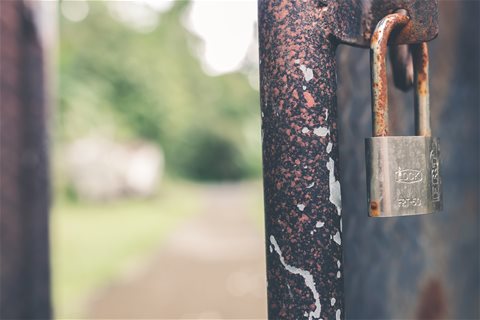 Pexels image